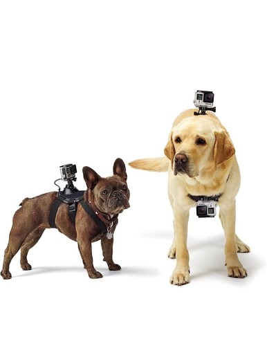 Gopro zubehör fetch - gopro,